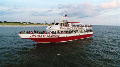 Whale Watching Tours - The Cape May Whale Watcher