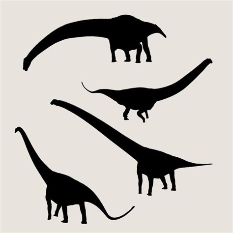Mamenchisaurus Vectors - Download Free High-Quality Vectors from ...