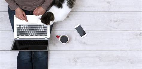 Productivity Tips 的图像结果