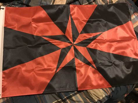 US Flag Libertarian Socialist Design 的图像结果