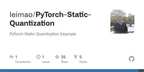 Pytorch Quantization Example 的图像结果