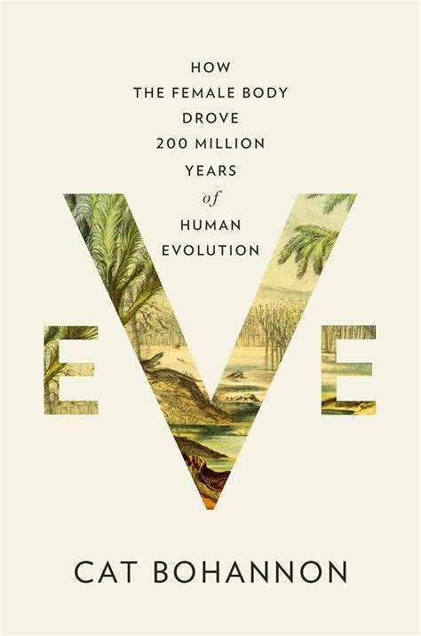 Evolution Book 的图像结果