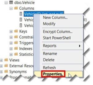 Identity Column MySQL 的图像结果