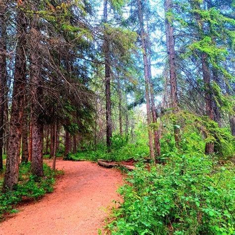 Nature Trail 的图像结果