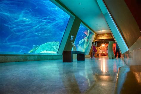 世界十大水族馆排名 上海海洋水族馆位列第三_人类之最_热点排行榜