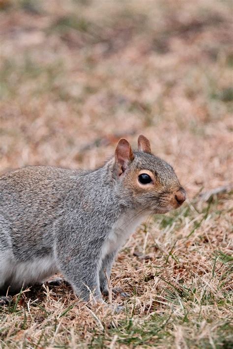 Images for Environment 的图像结果