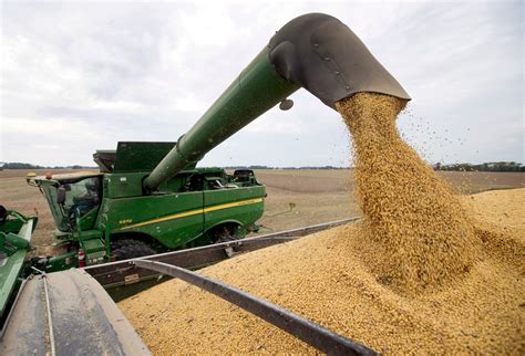 Bracing for a trade war: Wisconsin soybean farmer looks ahead to new ...