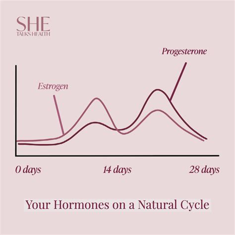 Estrogen & Progesterone - SHE Talks Health
