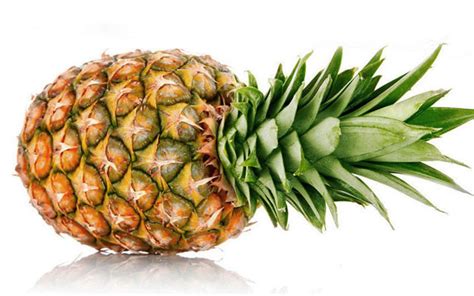 菠萝图片，菠萝树图片，凤梨和菠萝的区别 - 鲜淘网