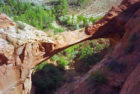 Escalante River Natural Bridge at Tamara Juarez blog