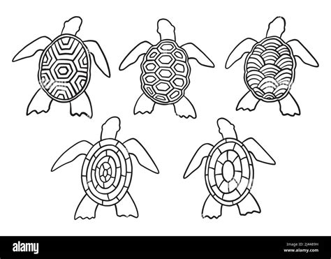 Image result for Turtle Shell Pattern Drawing