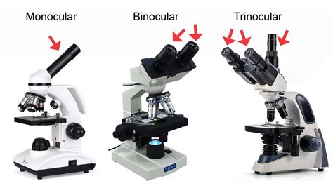 Different types of Microscopes – light microscope, electron microscope ...