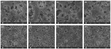Constructing a Hierarchical Hydrophilic Crosslink Network on the ...
