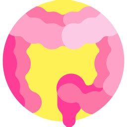 Large Intestine - Free healthcare and medical icons