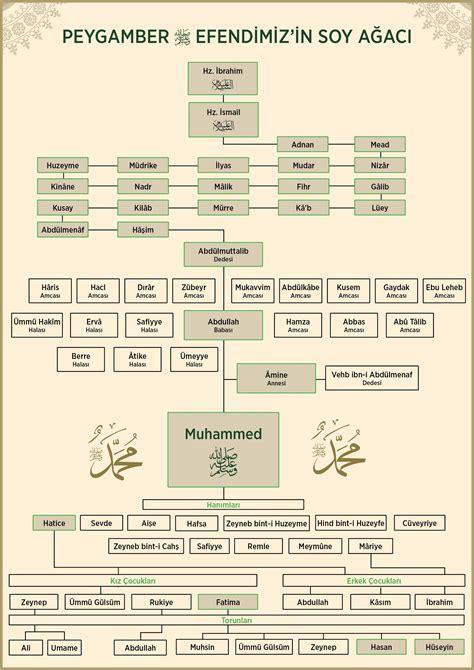 Peygamber Efendimizin Soyu | İslam ve İhsan
