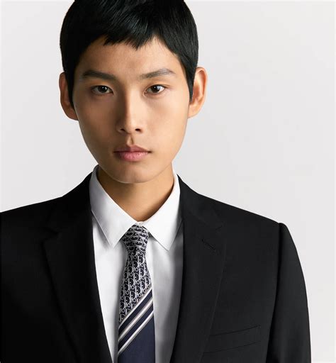 Striped Dior Oblique Tie Navy Blue, Gray and White Silk | DIOR