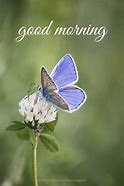 Image result for Good Morning Wildflowers