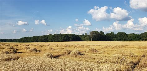 Prairie Test UIUC: Exploring the Benefits and Applications of Prairie Testing at the University ...