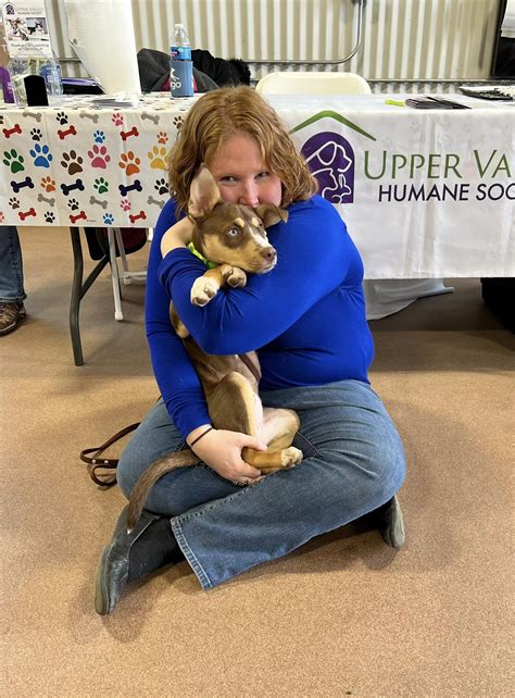 Volunteer Opportunities at the Upper Valley Humane Society