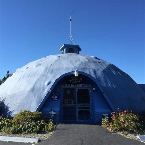 Wild Blueberry Land (2026) - All You MUST Know Before You Go (w ...