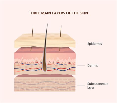 How Aging Affects Your Skin | Healthnews