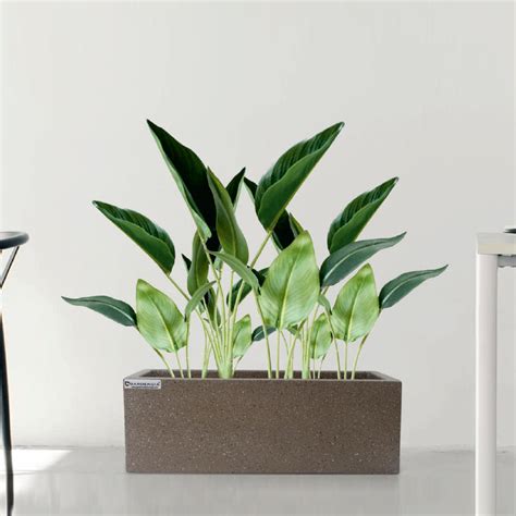 FRP 003 – Gardencia Technology