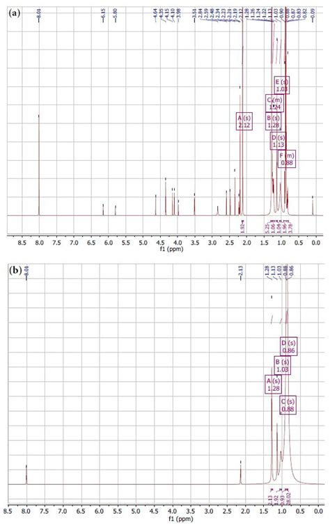 Investigation of the Impact of Biochar Application on Foaming Slags ...