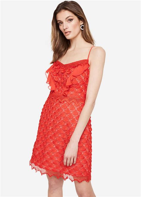 lace dress with sleeves