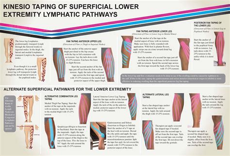 Kinesio Taping Of Superficial Lower Extremity Lymphatic Pathways ...