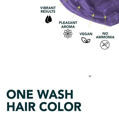 Buy Paradyes Temporary One Wash Hair Color, Wild Violet — Vanity Wagon