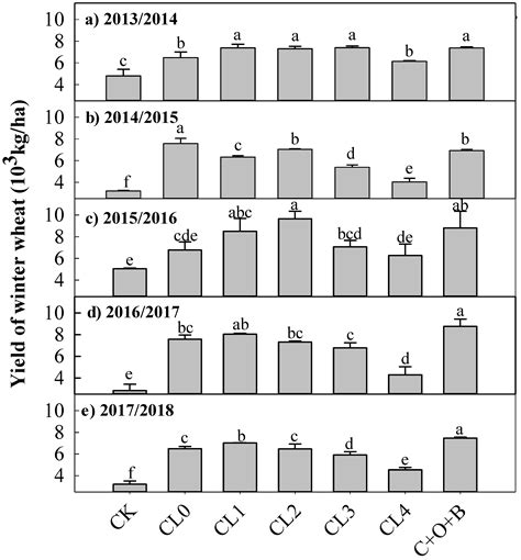 Contrasting Impacts of Long-Term Application of Biofertilizers and ...