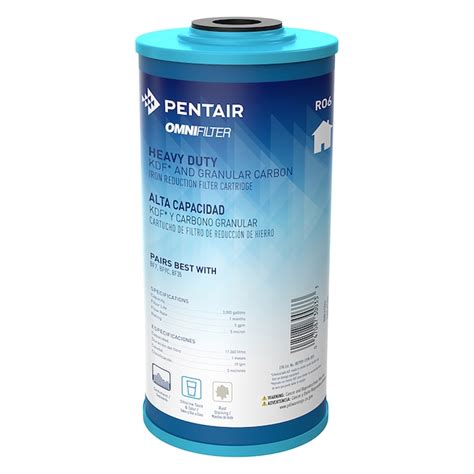 Pentair OMNIFilter Carbon Block Whole House Replacement Filter RO6-SS2 ...