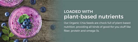 Hanman Nutritions Raw Organic Chia Seeds with Omega 3 And Fiber For ...