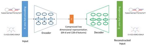 Identification of miRNA-Small Molecule Associations by Continuous ...