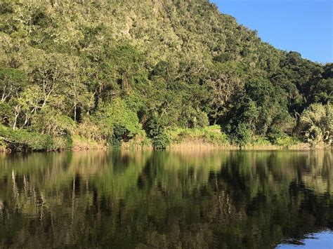 KEURBOOMS RIVER FERRIES CLOSURE NOTICE - All You Need to Know BEFORE ...