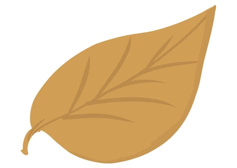 Image result for Development.NET Beautiful