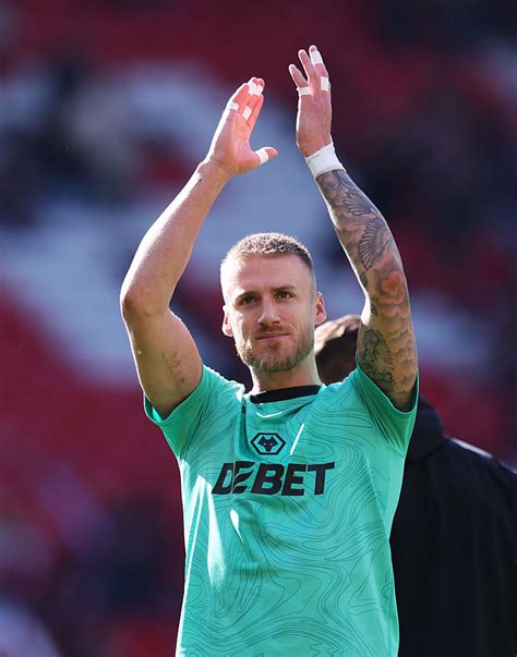 Image result for Wolves Survival