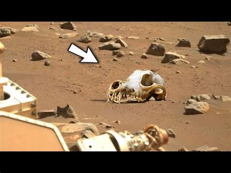 Image result for Alien Skull On Mars