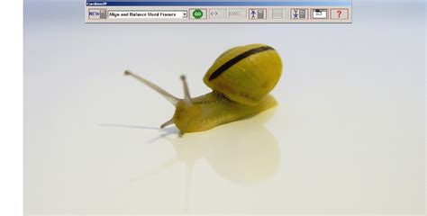 Image result for CombineZP Tutorial