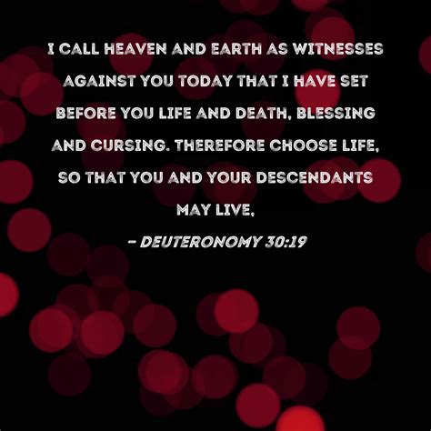 Deuteronomy 3019 Deuteronomy 30 Book Of Deuteronomy NKJV,
