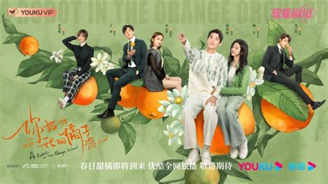 [Mainland Chinese Drama 2022] A Robot In The Orange Orchard 你好呀我的橘子恋人 ...