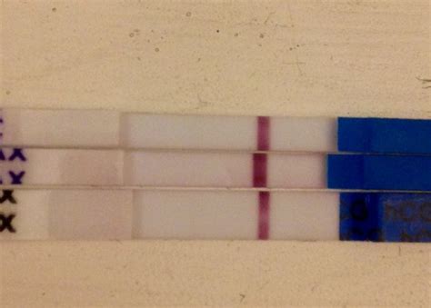 Positive urine tests, negative blood?? | BabyCenter