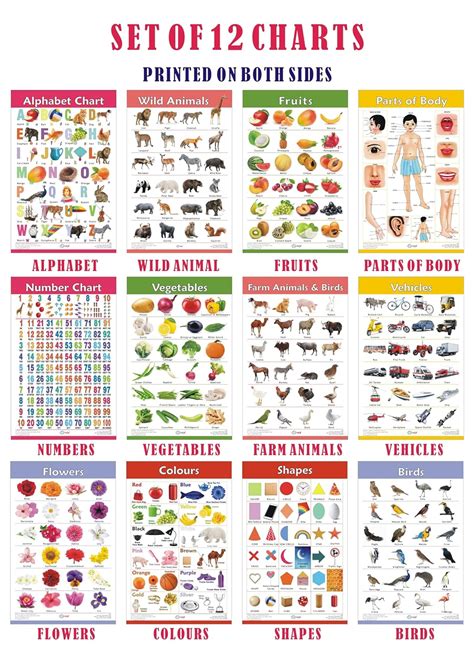 VCP Early Learning Educational Chart Set for Kids | Set of 12 LAMINATED ...