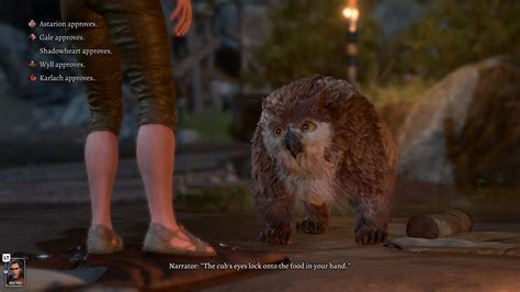 Owlbear Cub 🎨 Scratch And Owlbear Cub Baldur's Gate 3・ 3D File