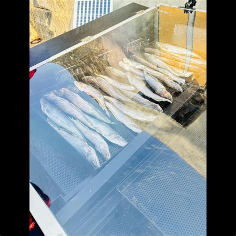 Solar Fish Dryer – Sustainable Fish Drying Solution for Fishermen ...