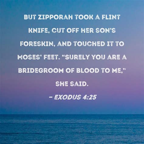 Zipporah Bible - who was zipporah in the bible