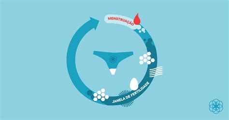 Tipos de flujo vaginal y cómo diferenciarlos durante su período menstrual