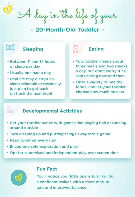 20-Month-Old: Development, Milestones, and Sleep | Pampers IN