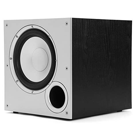 Best 10 Inch Subwoofer 的图像结果