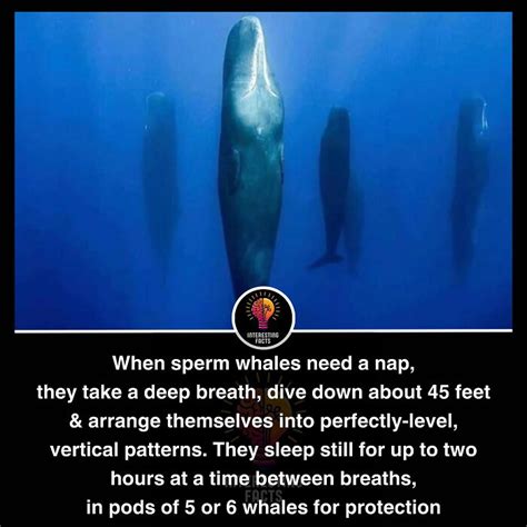 Random Interesting 的图像结果